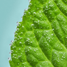 RELX Pods Pro Menta 18mg/ml nicotina 2
